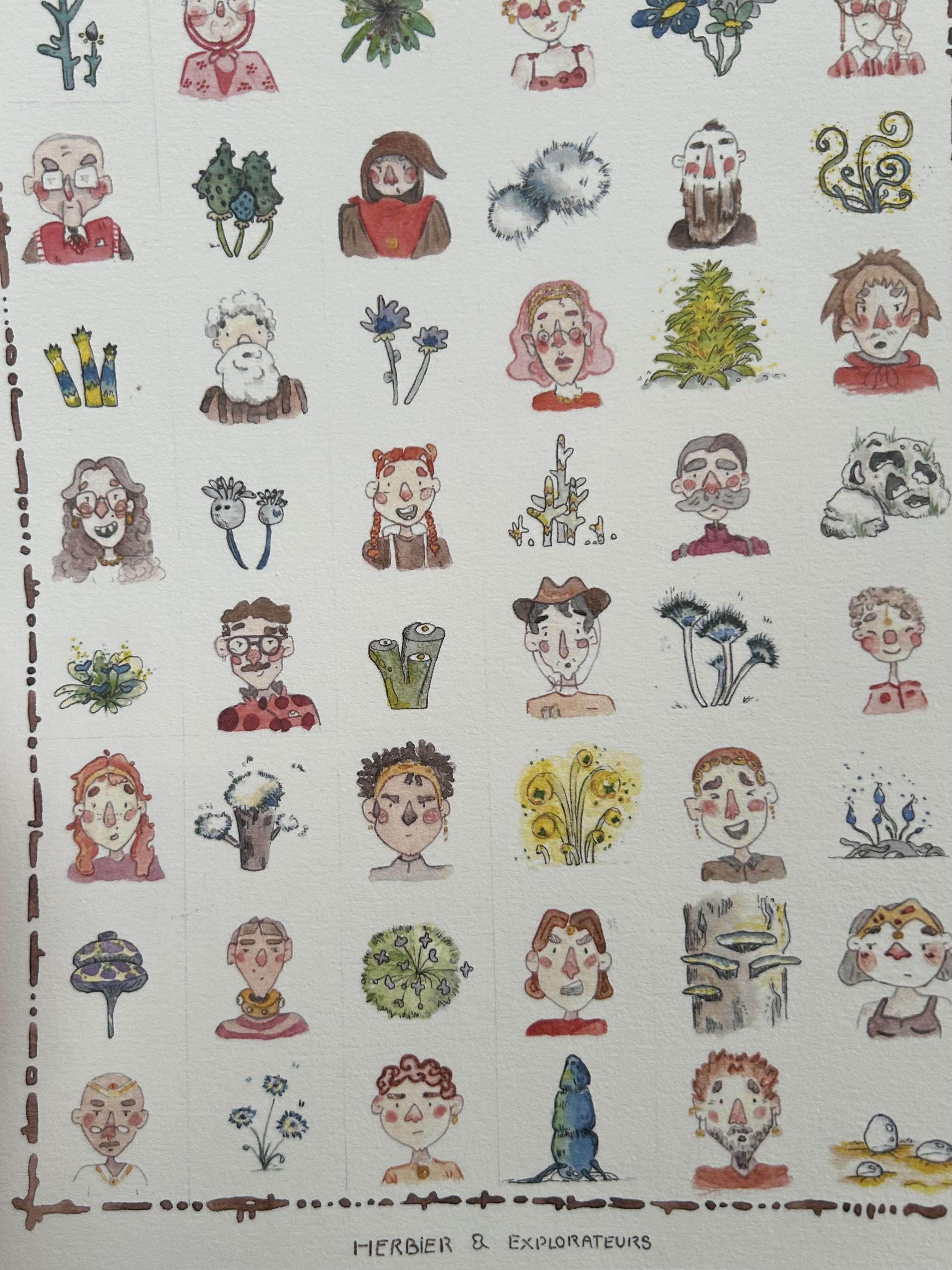 Herbier & explorateurs