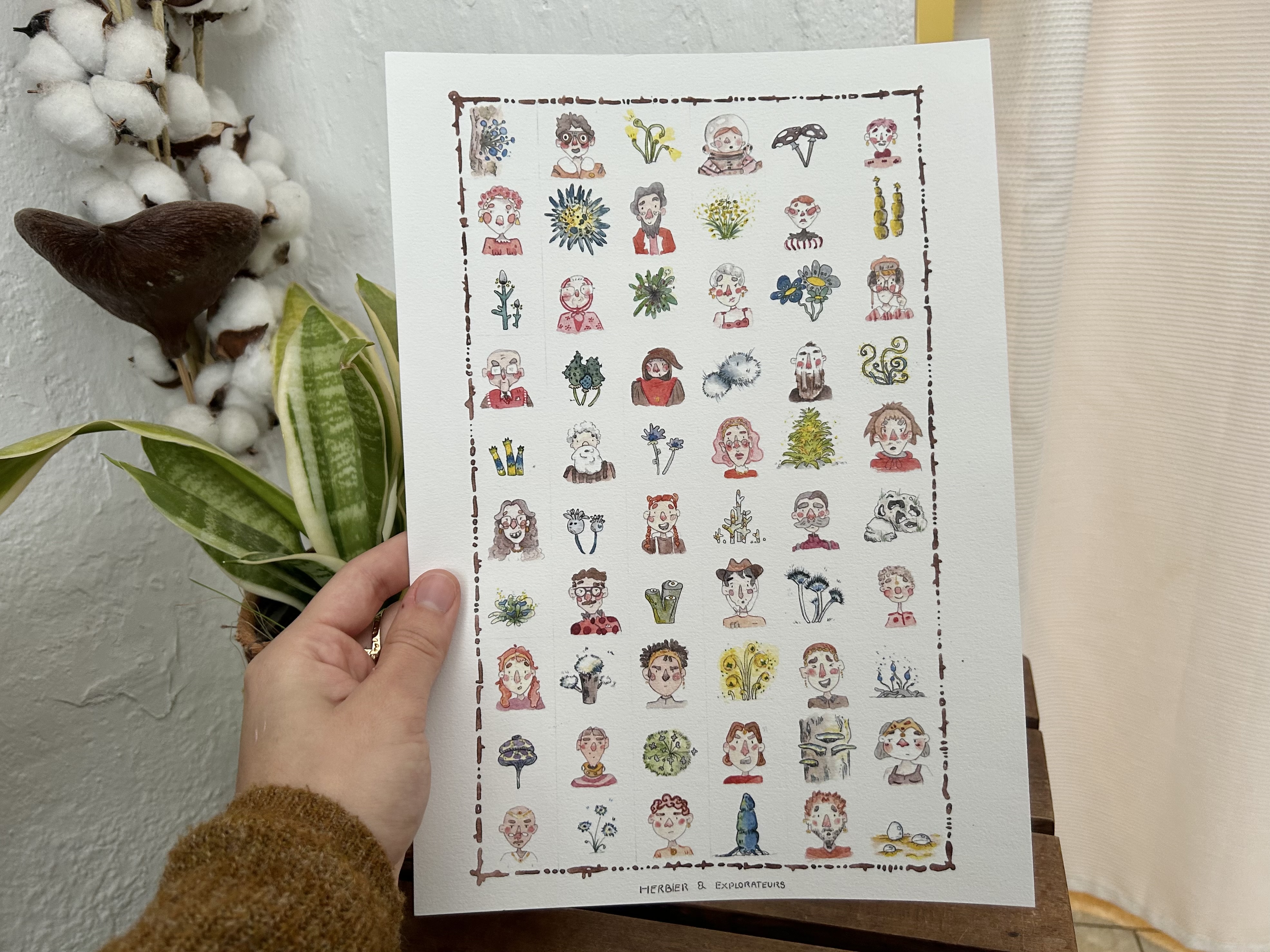 Herbier & explorateurs