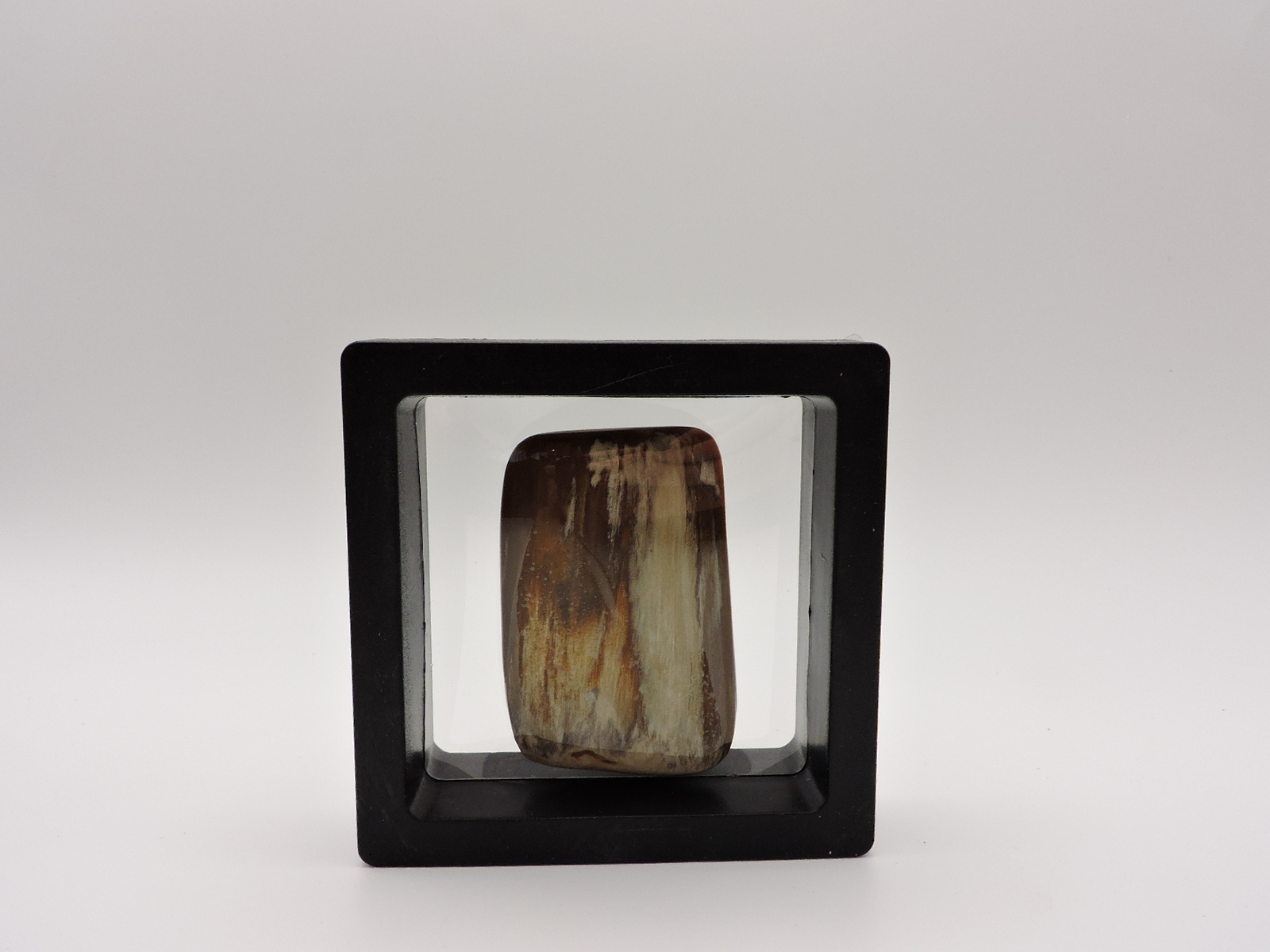 Polished Petrified Wood Stone