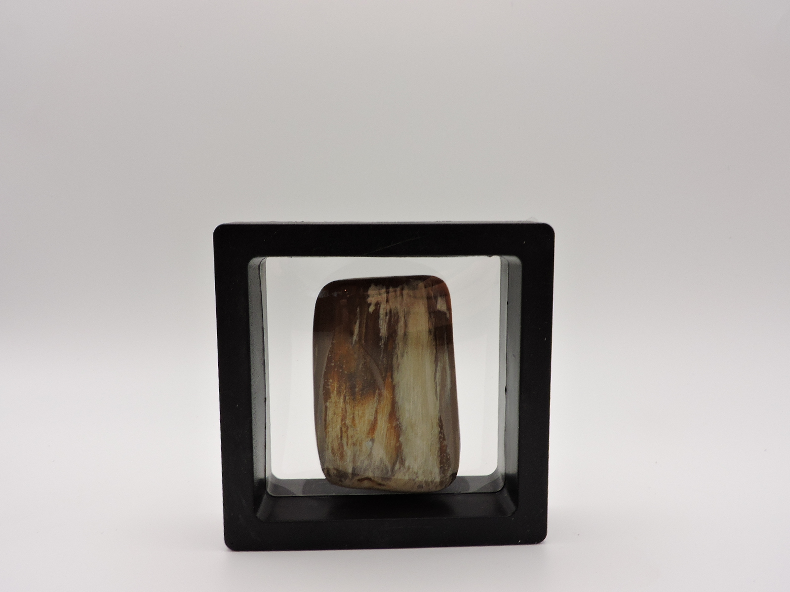 Polished Petrified Wood Stone