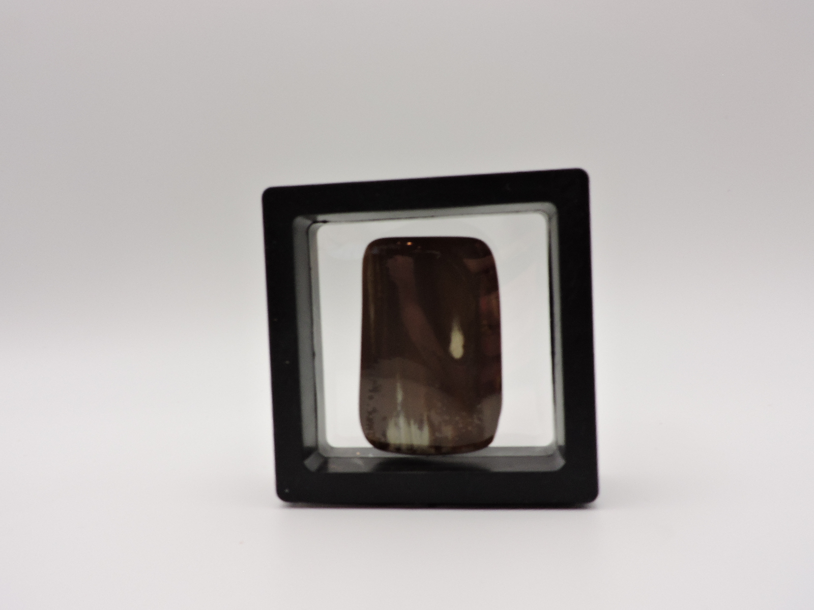 Polished Petrified Wood Stone