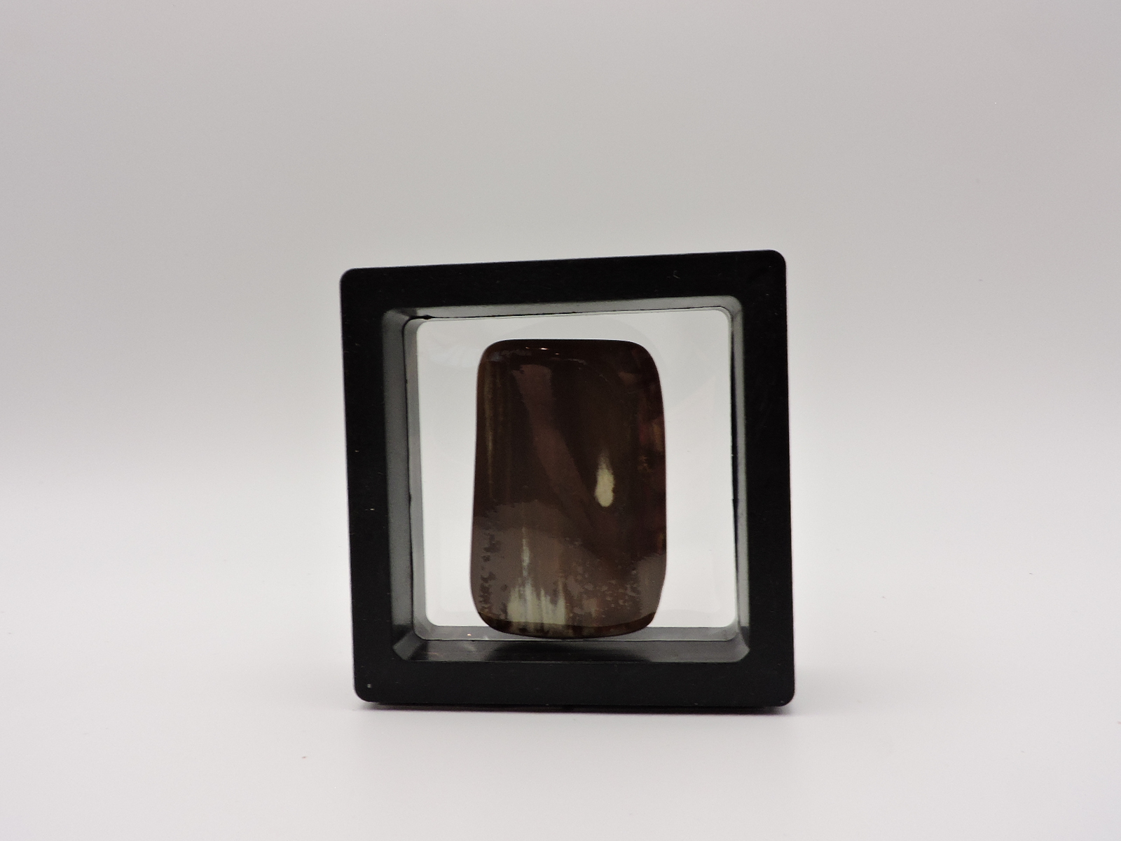 Polished Petrified Wood Stone