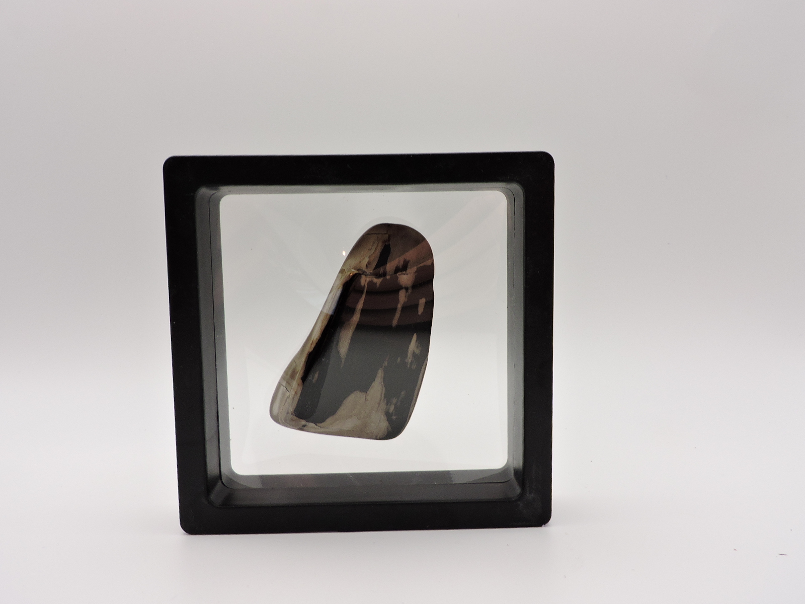 Polished Petrified Wood Stone