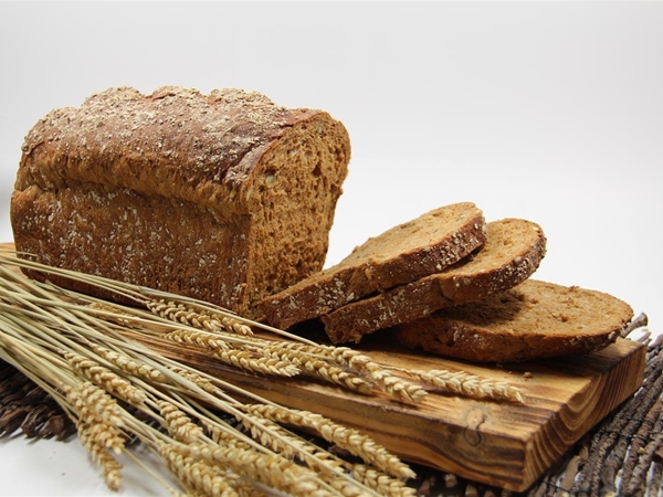 Tundra-Hälfte und geschnitten