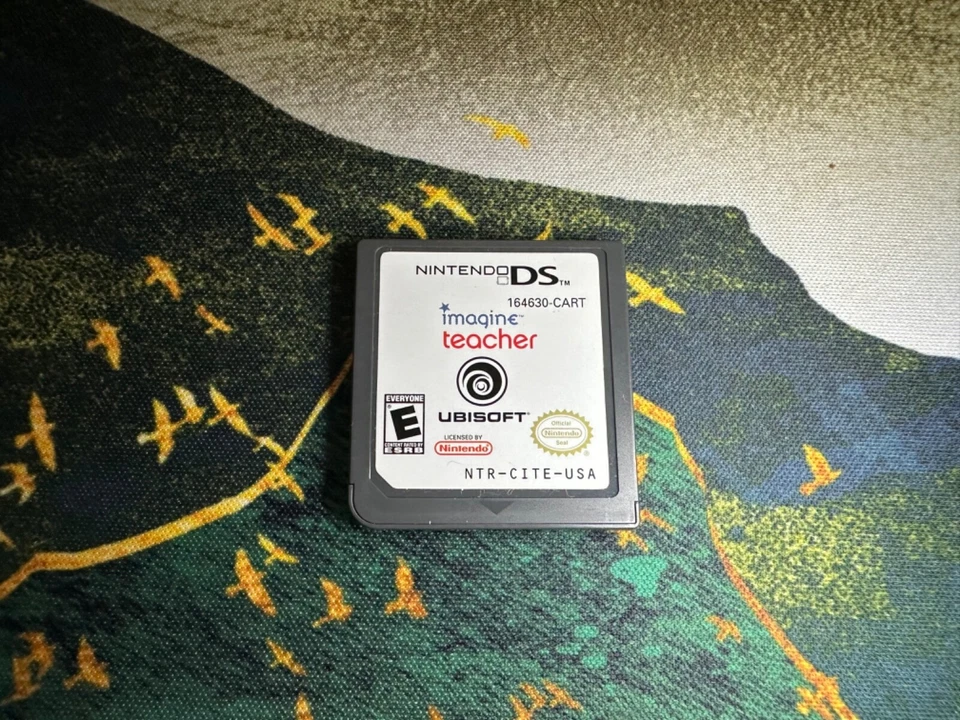 Nintendo DS Imagine Teacher Game Cartridge
