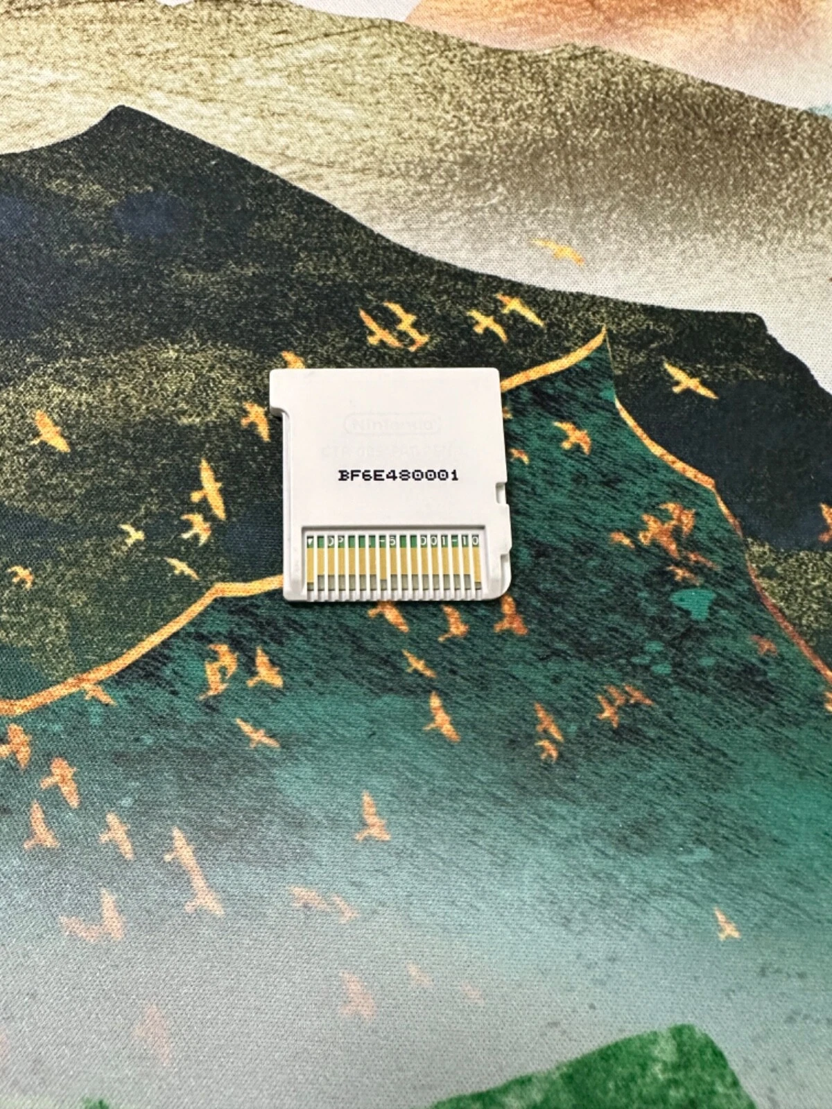 Nintendo 3DS Game Cartridge: Disney Frozen & Big Hero 6