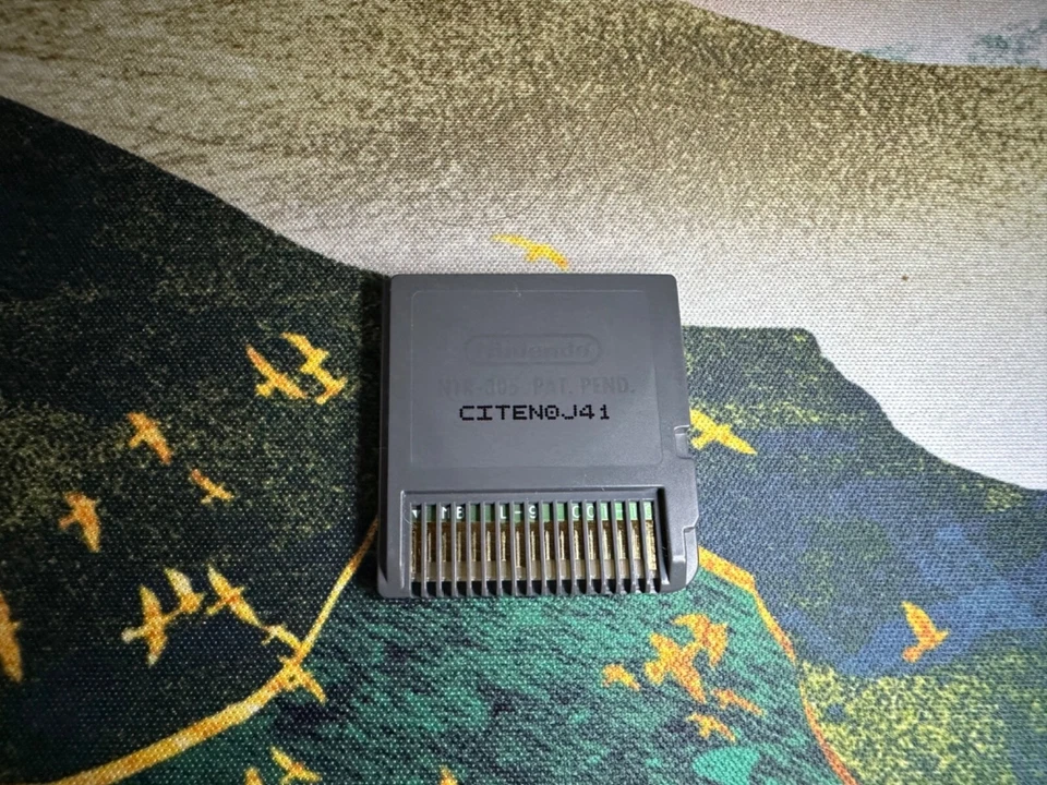 Nintendo DS Imagine Teacher Game Cartridge