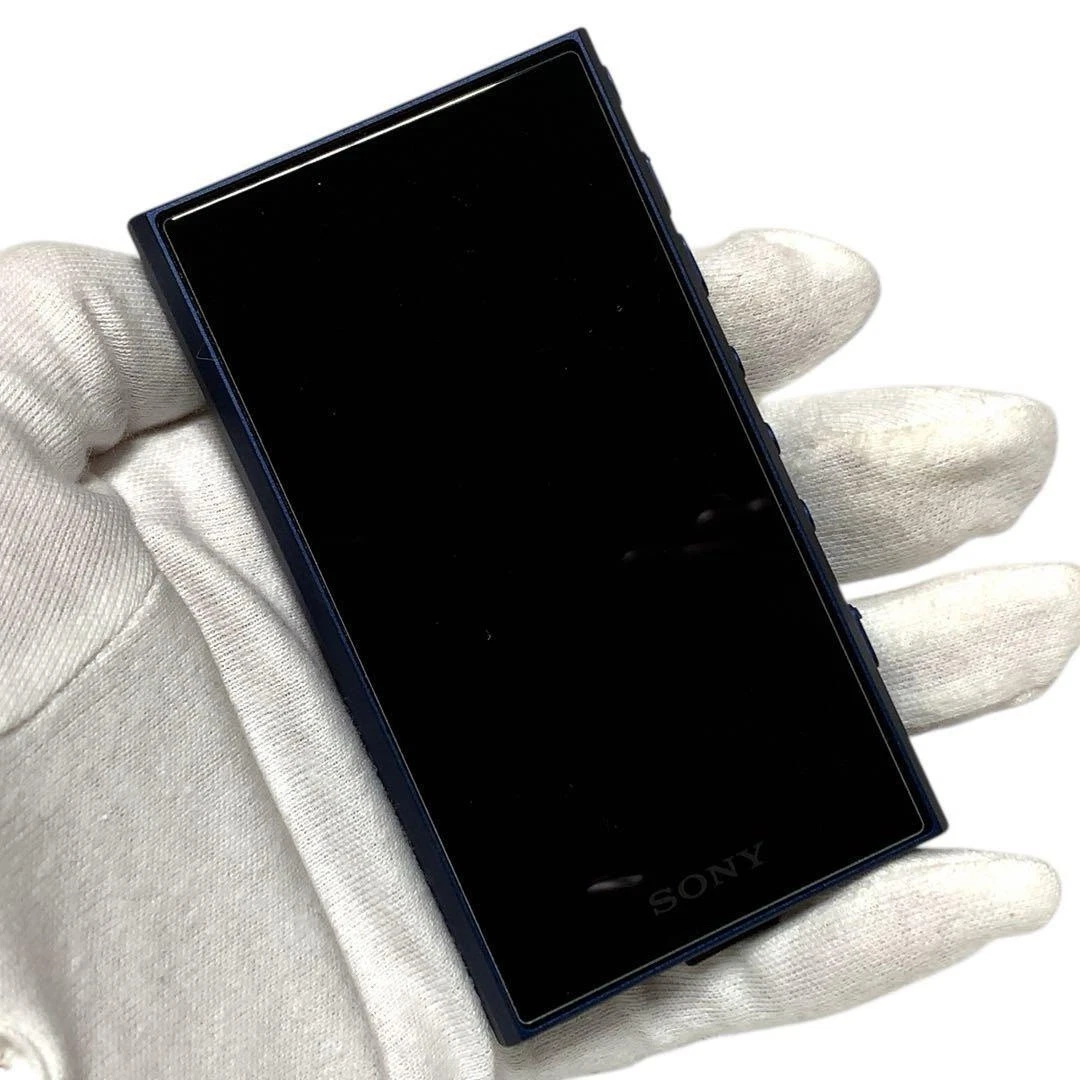 Sony Walkman A300 Series NW-A306 Disney 100th Anniversary Model Blue From Japan