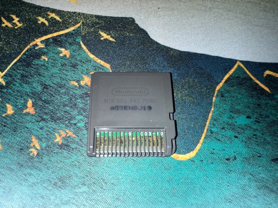 Nintendo DS Flash Focus Game Cartridge