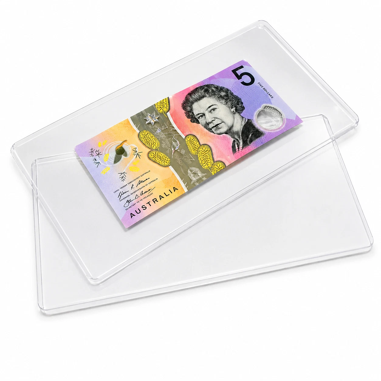 Crystal Clear Banknote Sleeves – Protective Currency Holders (20 Pack)