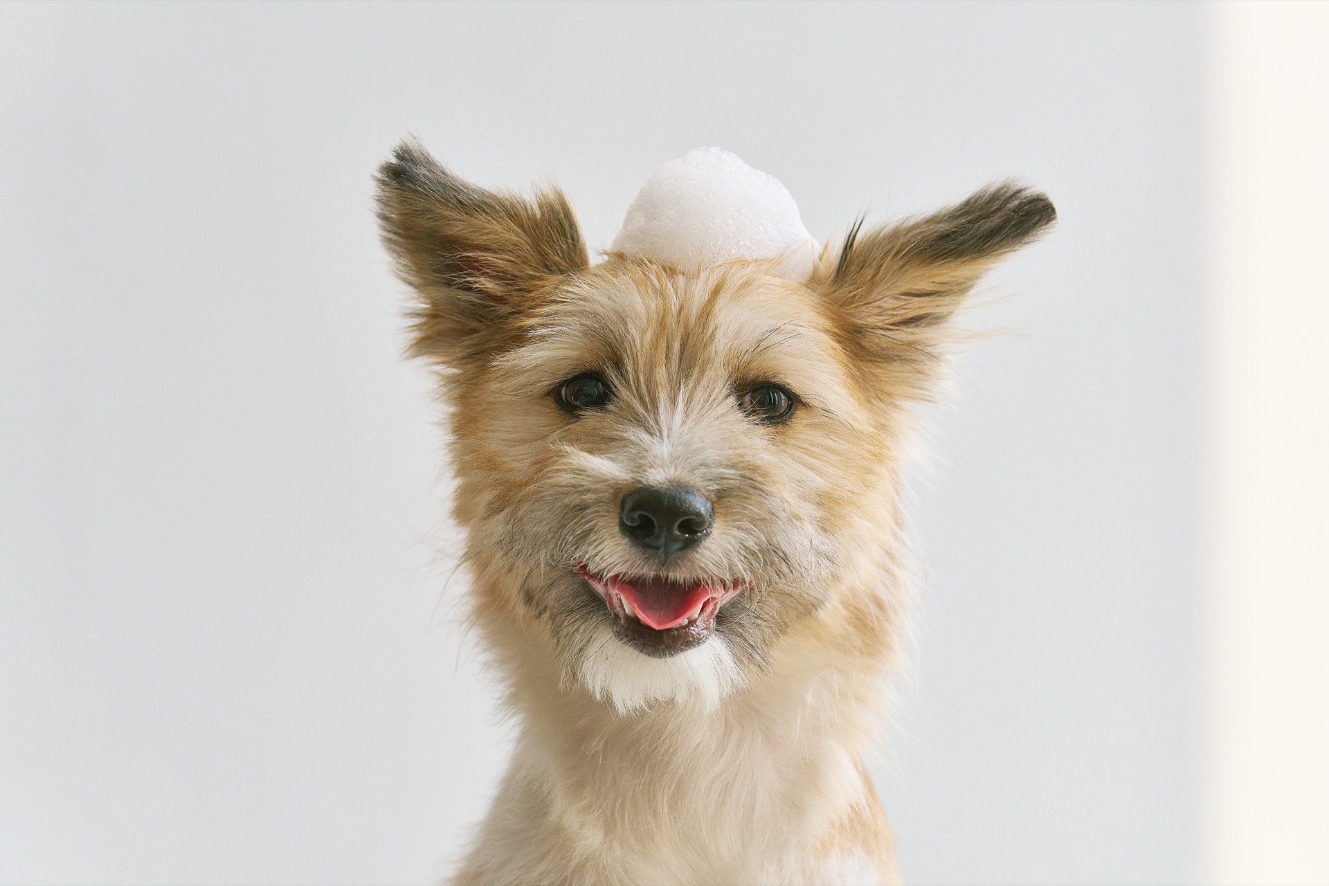 Doctor AHNA Zero Shampoo