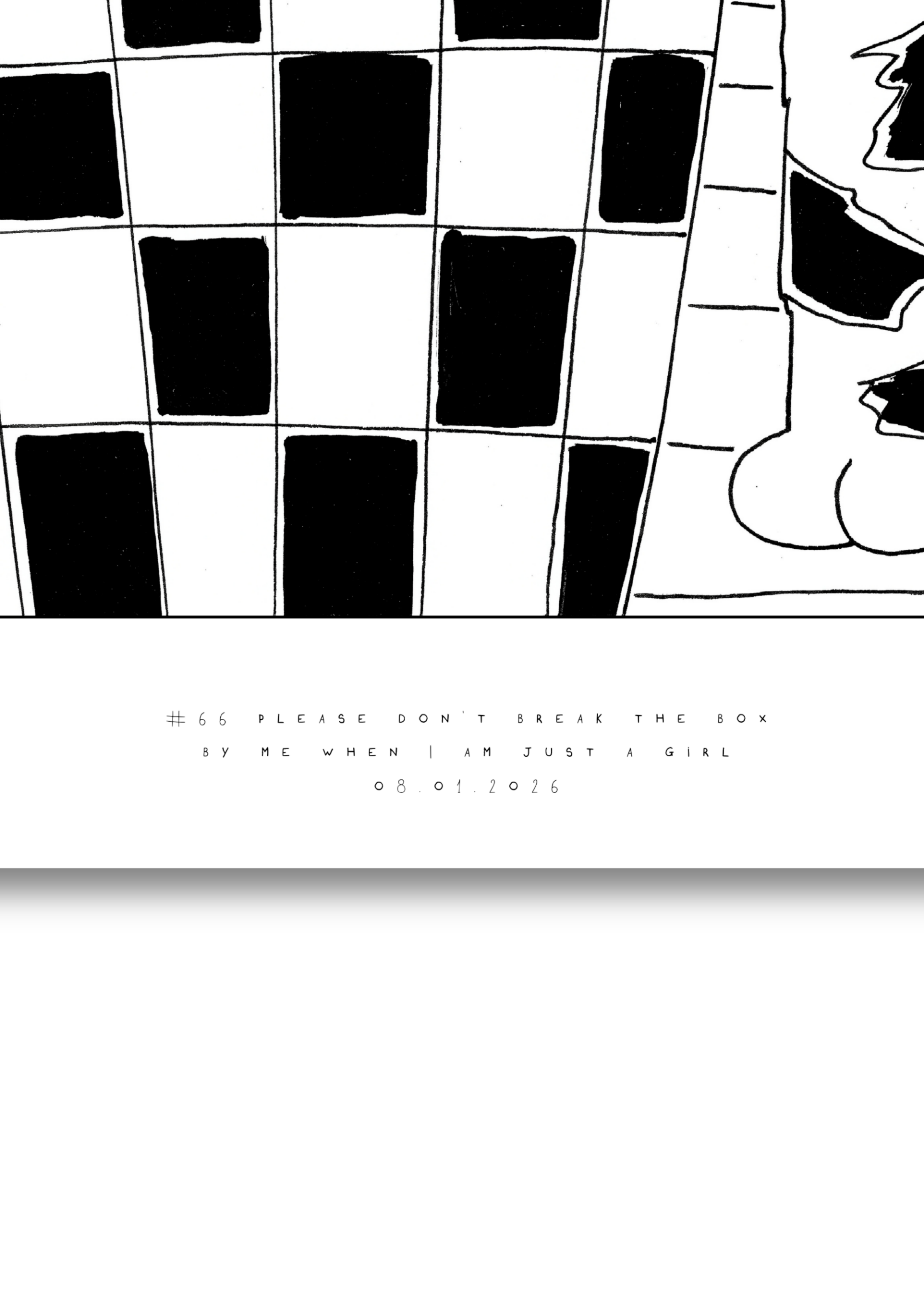 #66 Please don't break the box - Semi-Glossy Paper Poster