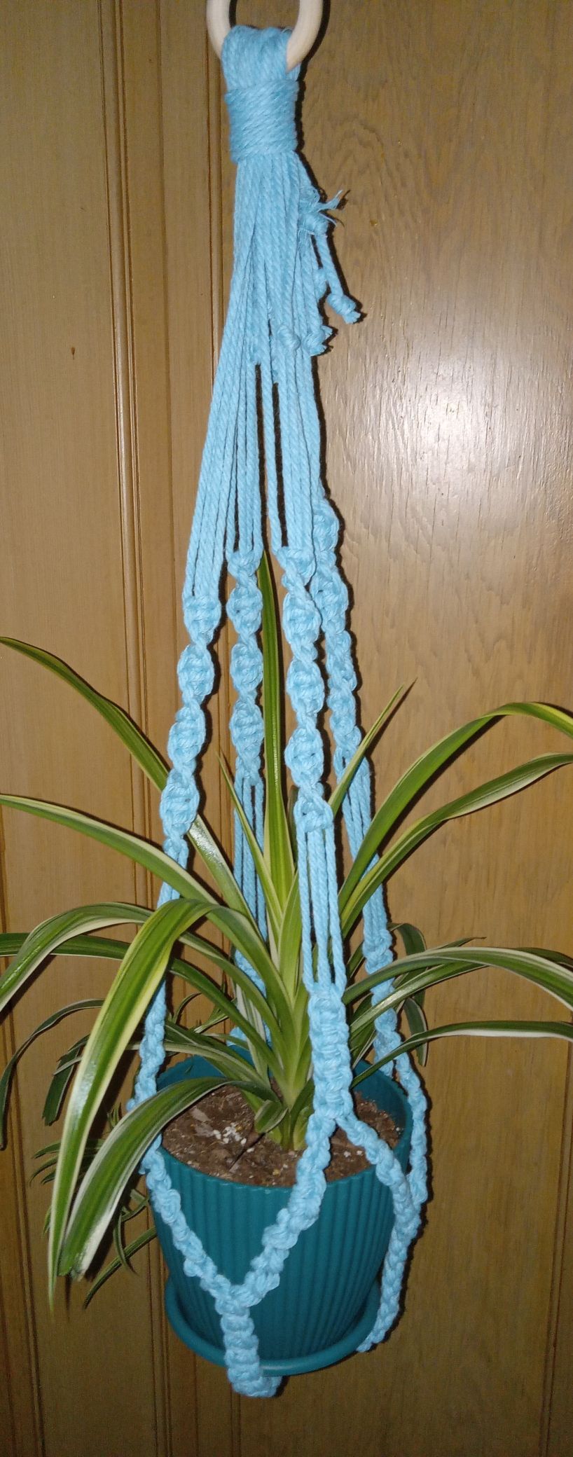 Macramé Plant Hanger