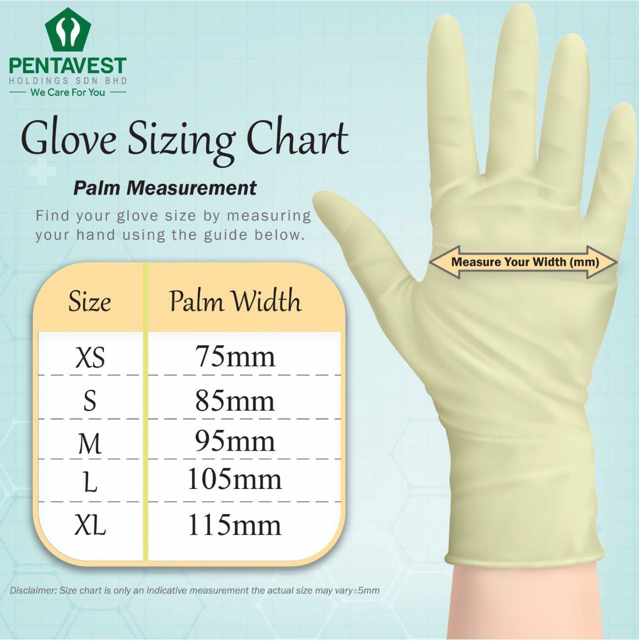 Pentaglove Latex Examination Powder Free Glove