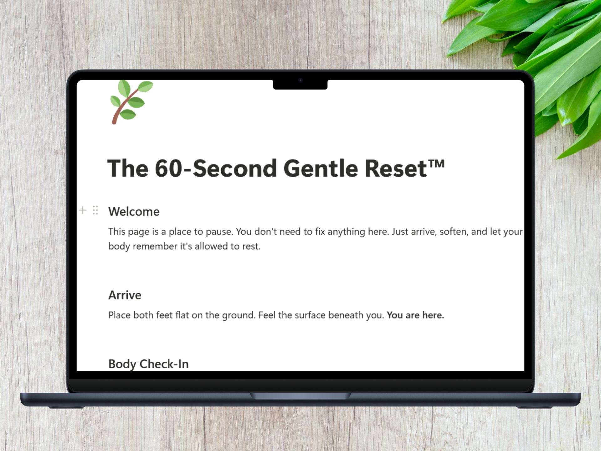 🌿 The 60-Second Gentle Reset™