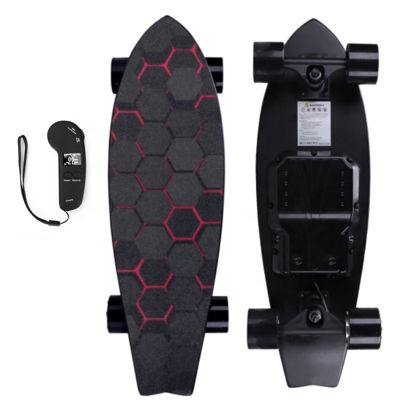Mini Fish Electric Skateboard Style