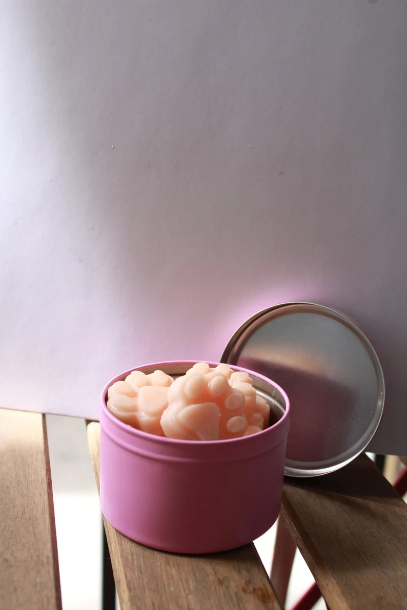 Paw Print Soy Wax Melts | Strong Fragrance, 4.5 oz