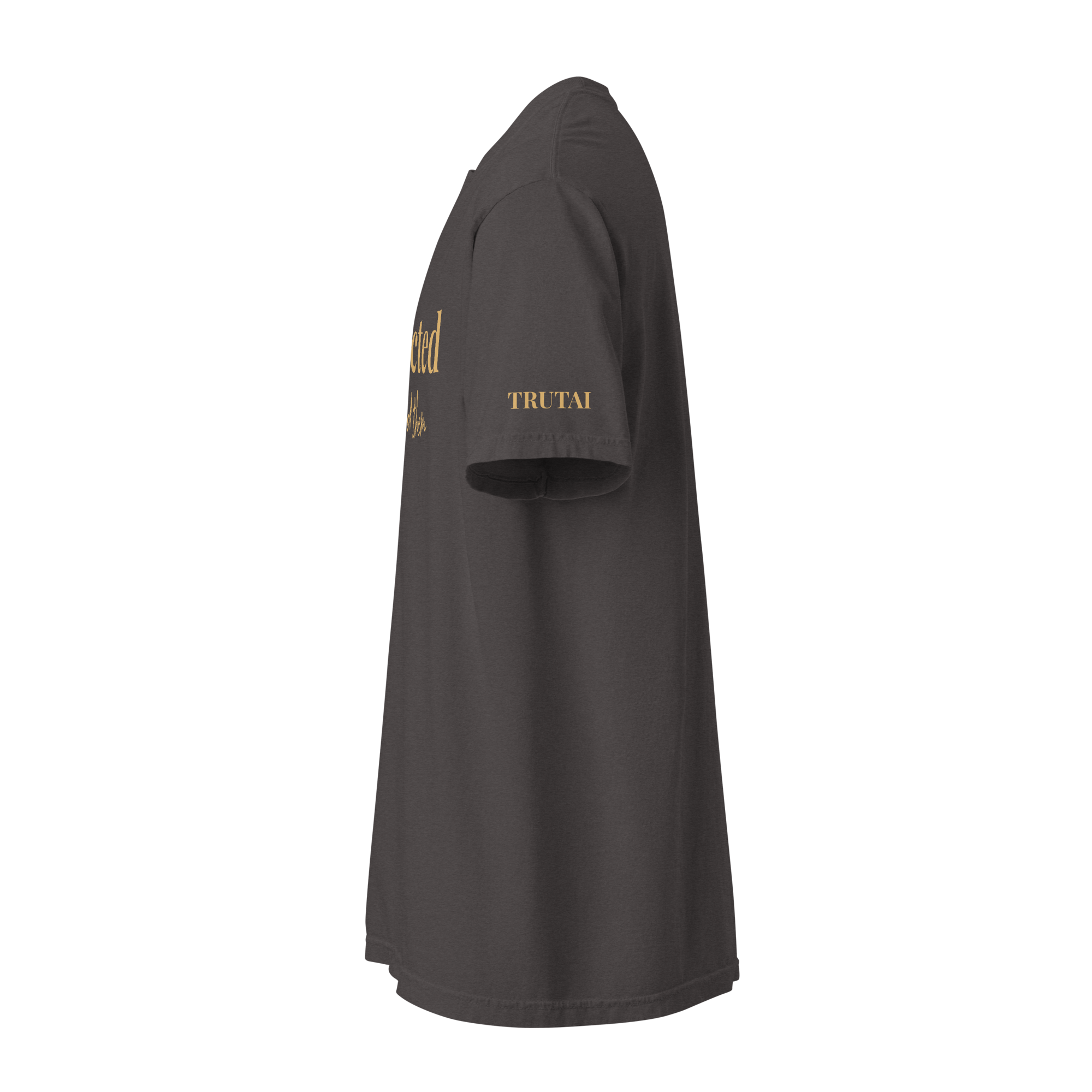 Protected He Heard Them Christian T-Shirt | Heavyweight Garment-Dyed Faith Tee | TRUTAI