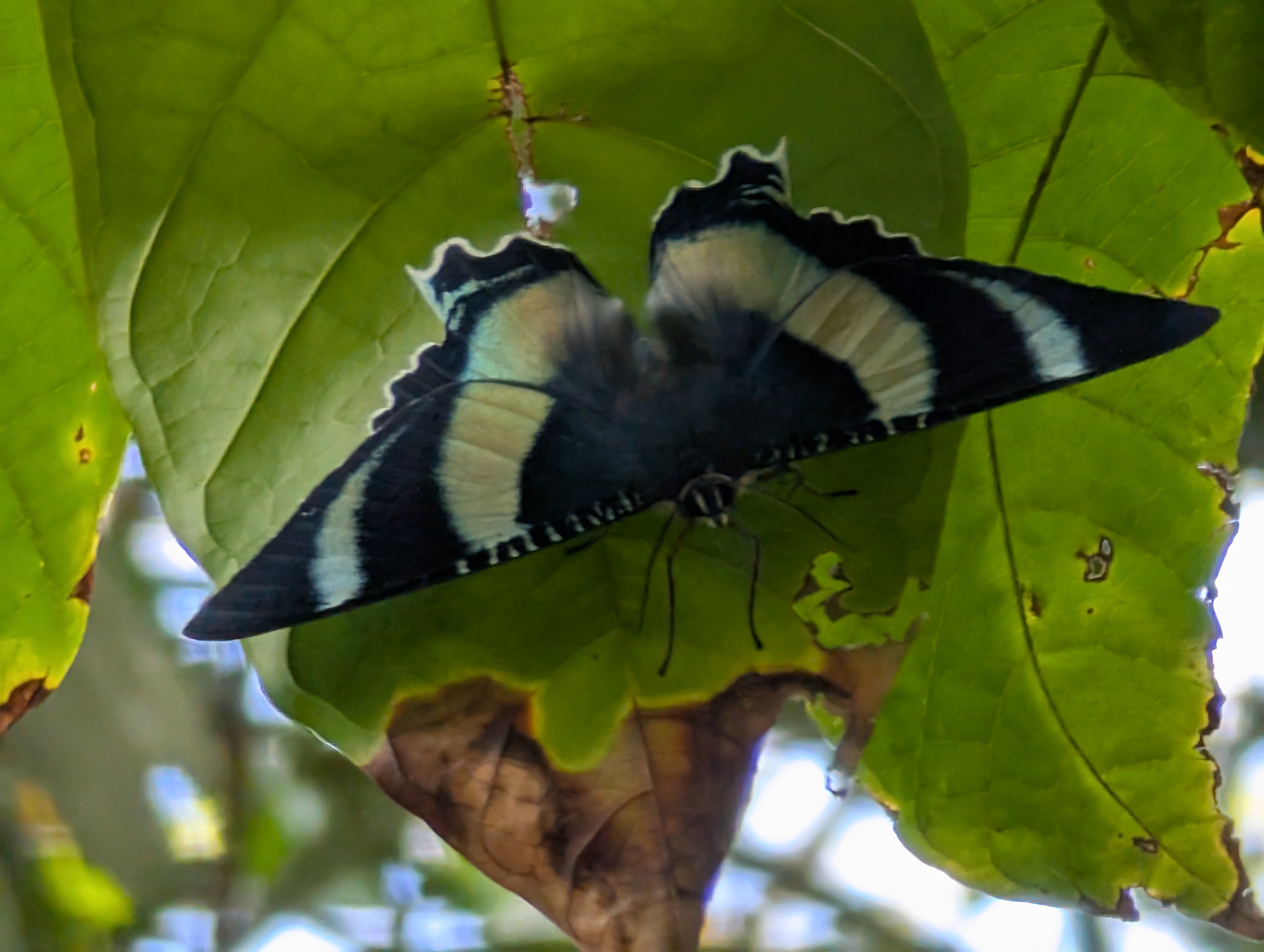 an anthology of Tania Peitzker's creative writing