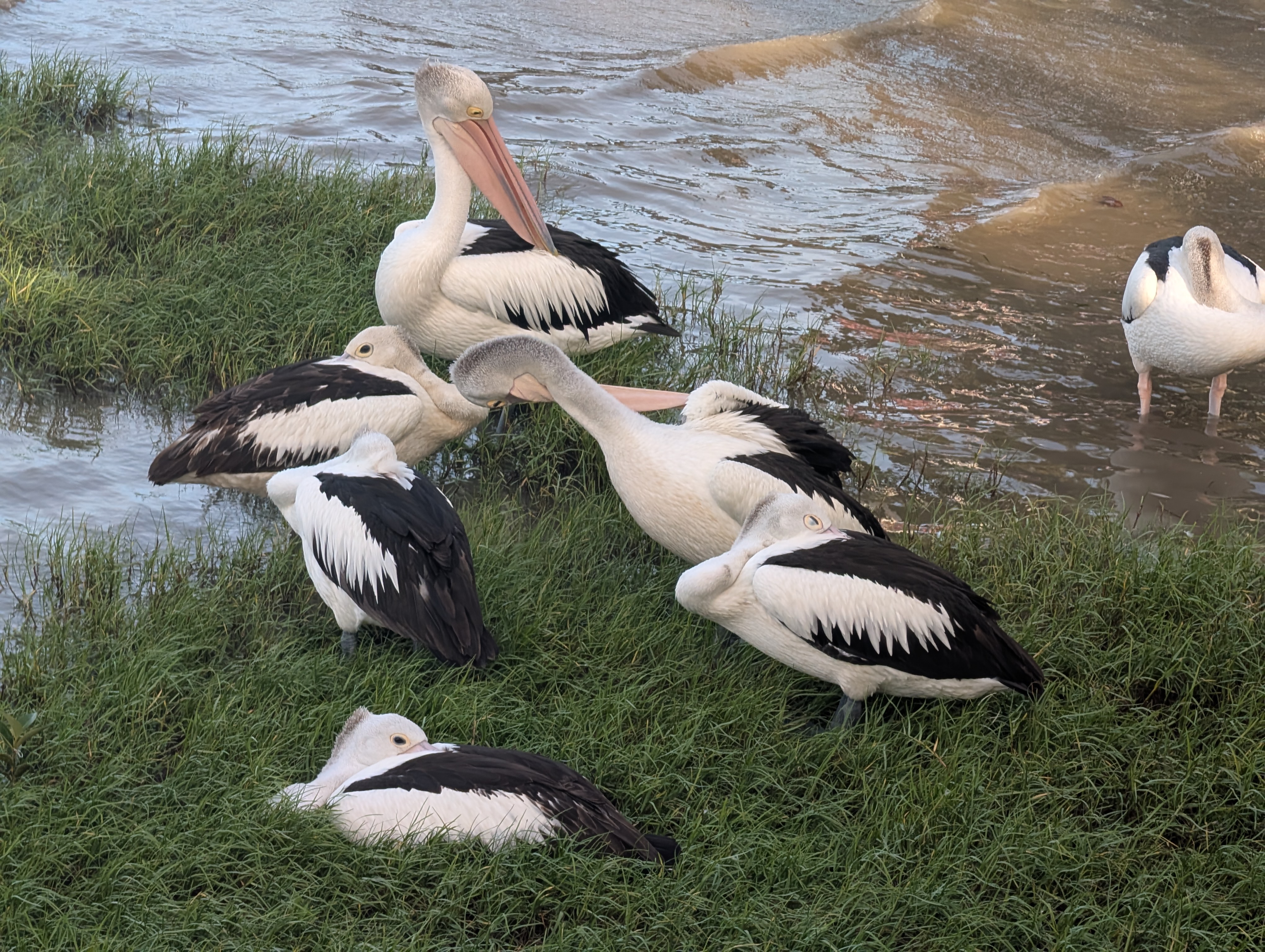 2025 LinkedIn newsletter on Everyday Examples of AI