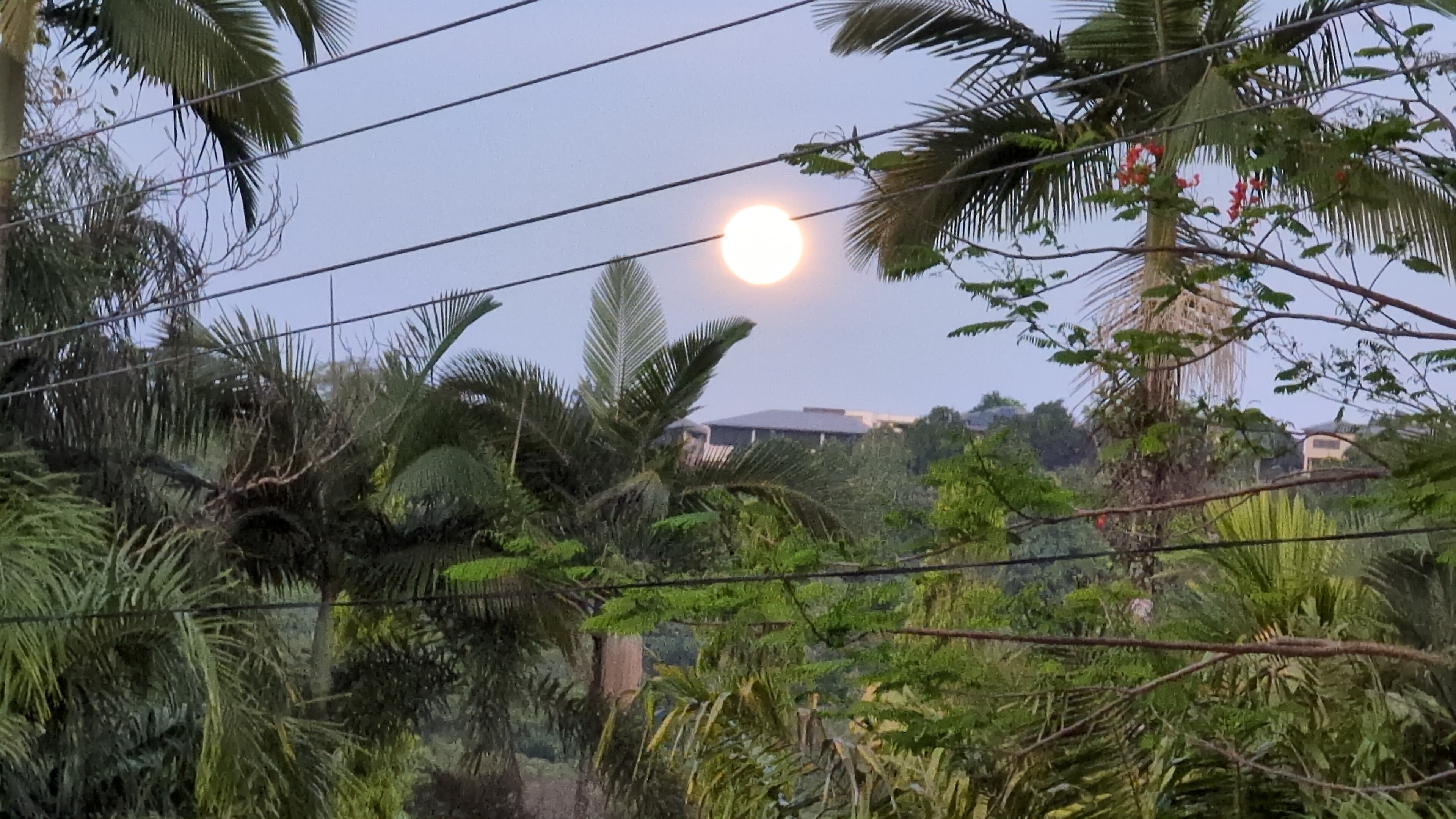 anthology 2020-25 creative work & travel writing