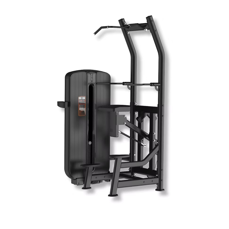 Pull-Up/Dip Assist Machine