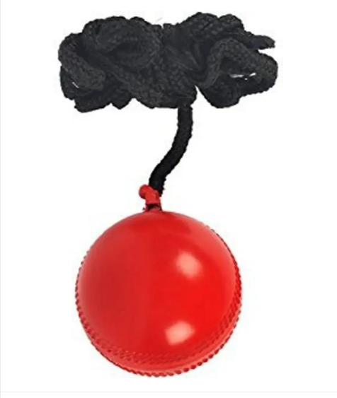 Cricket hanging ball