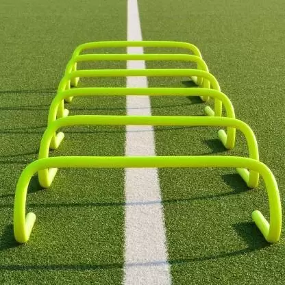 Speed Training Hurdles