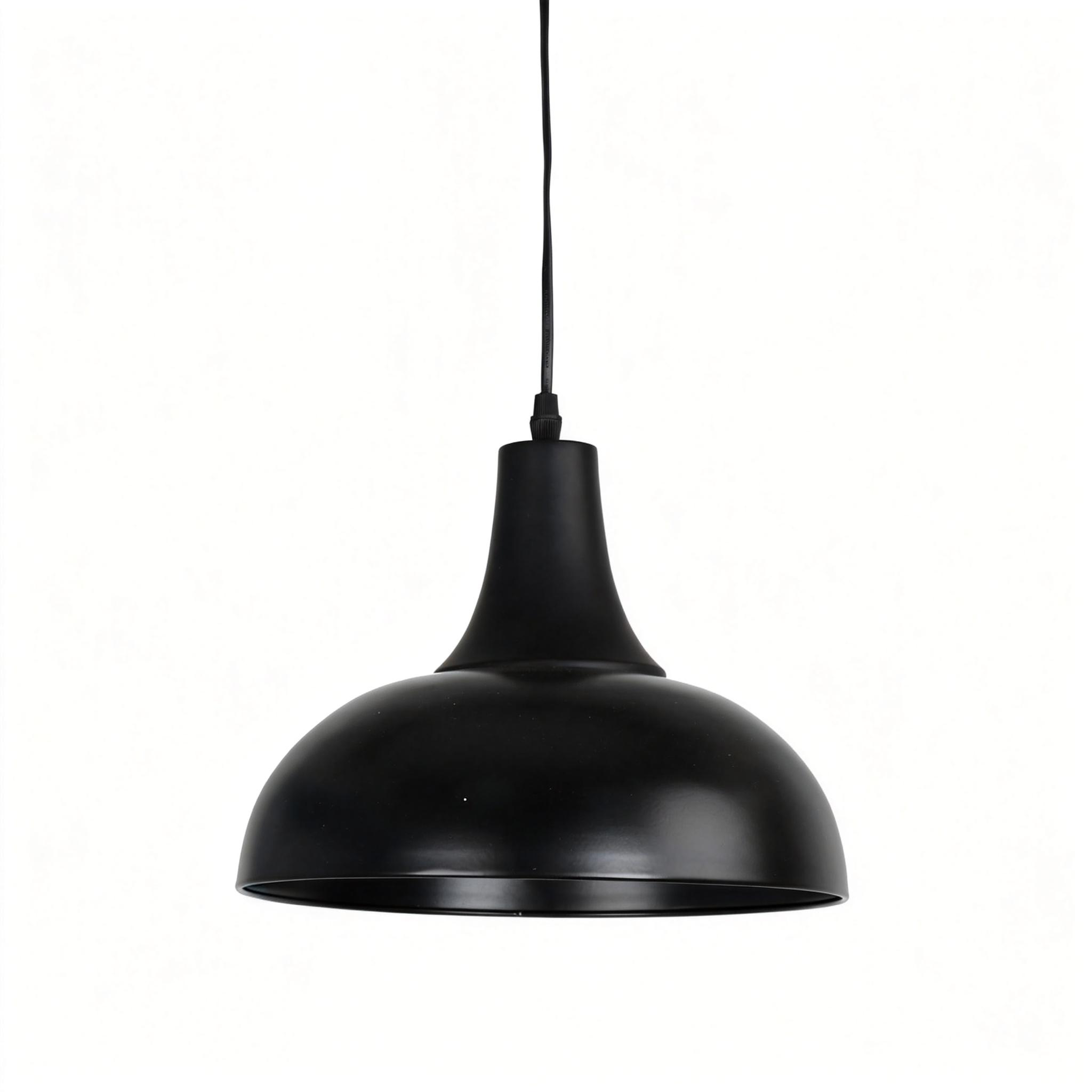 Modern Black Pendant Lamp 25P015