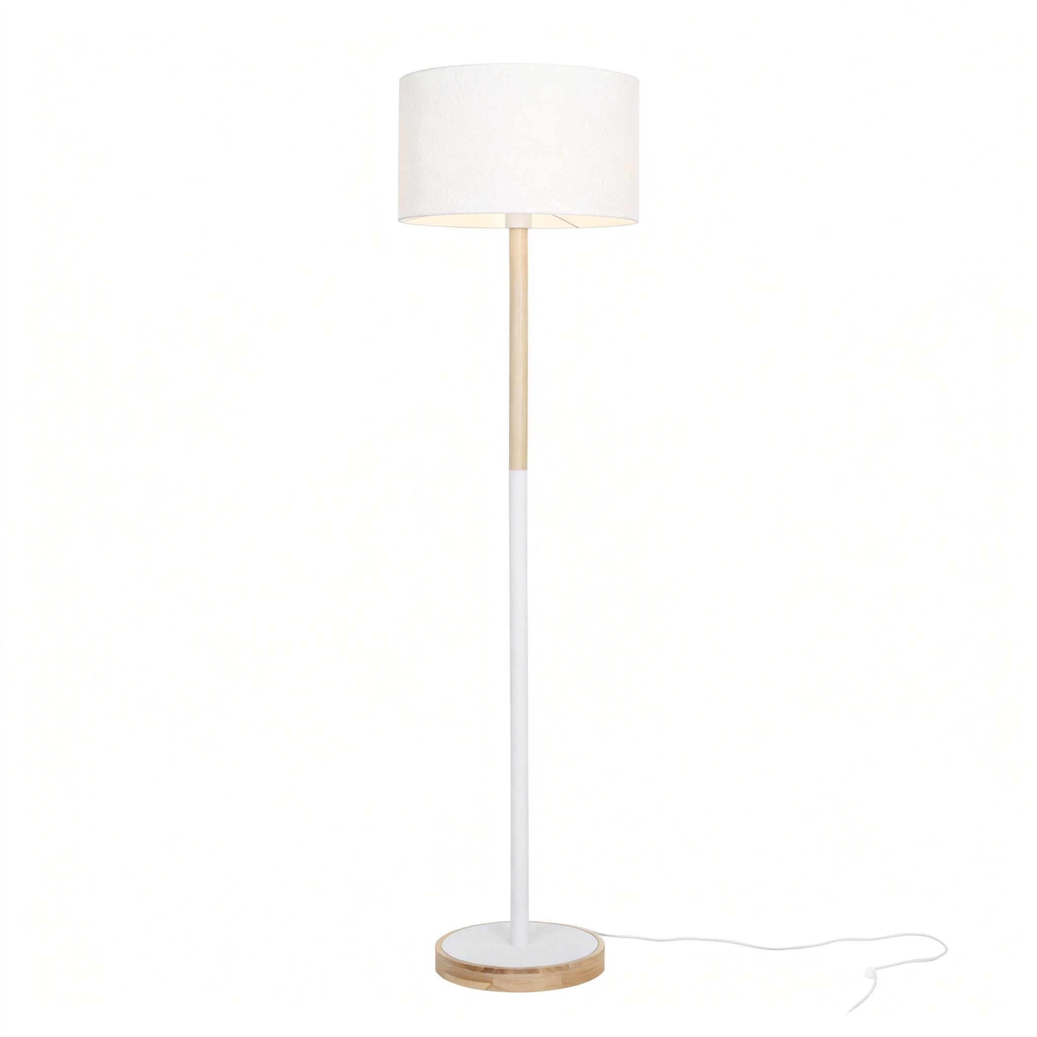 Modern Floor Lamp 25T067