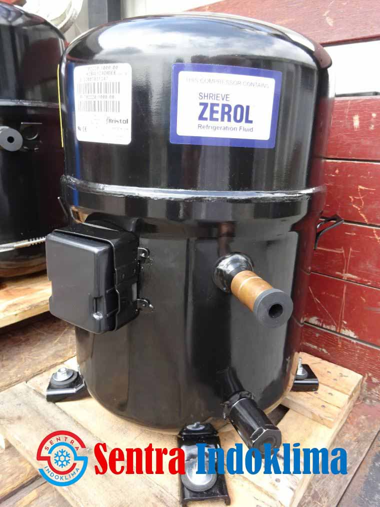 Kompresor Bristol H2BG124DBEE