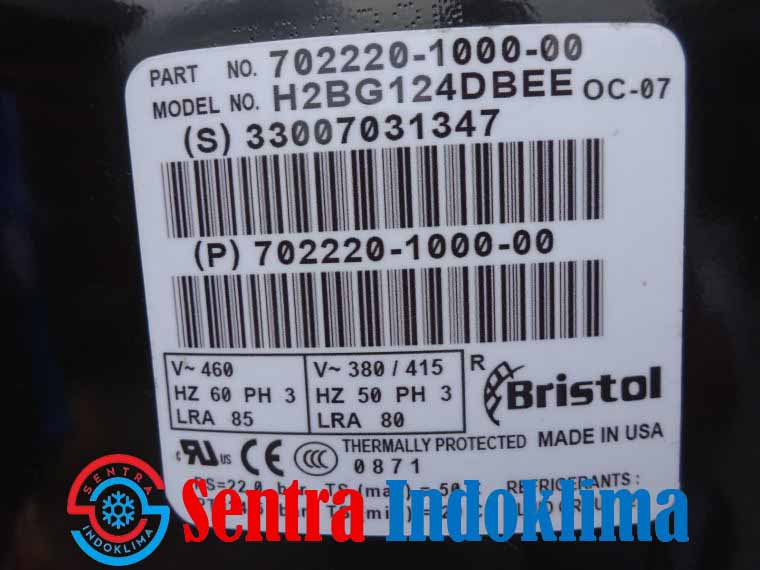 Kompresor Bristol H2BG124DBEE