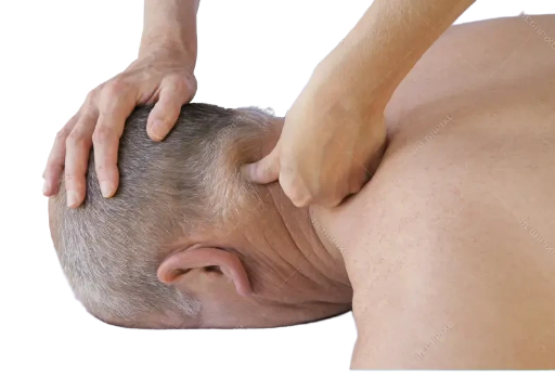 Book Your Manual Therapy Session