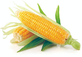 Fresh Sweet Corn