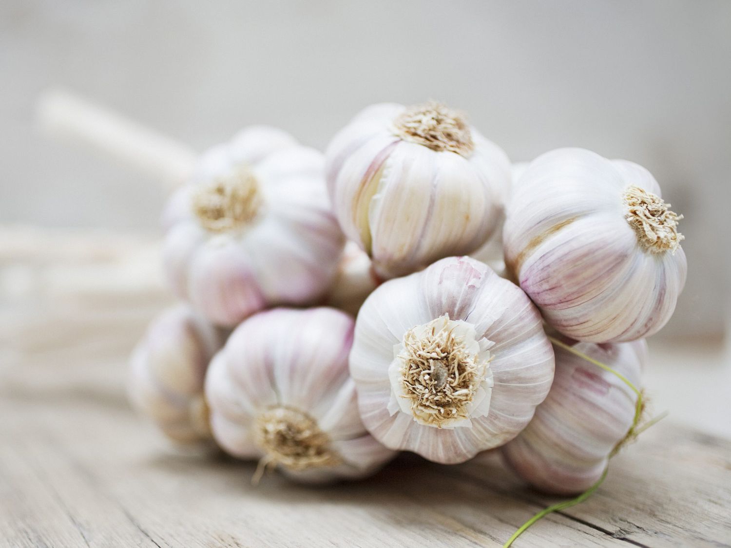 Fresh Garlic Bulbs