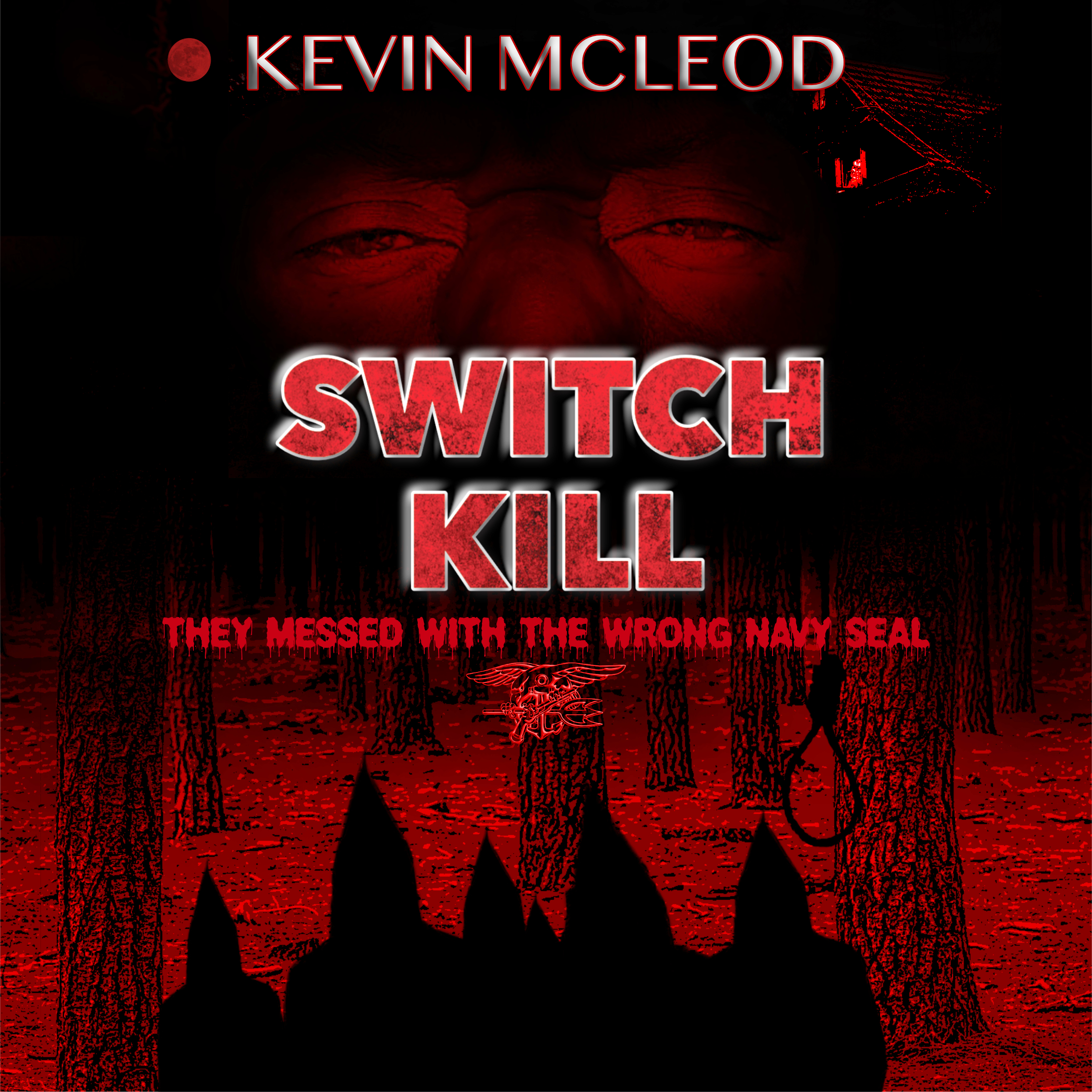 (audiobook) SWITCH KILL: