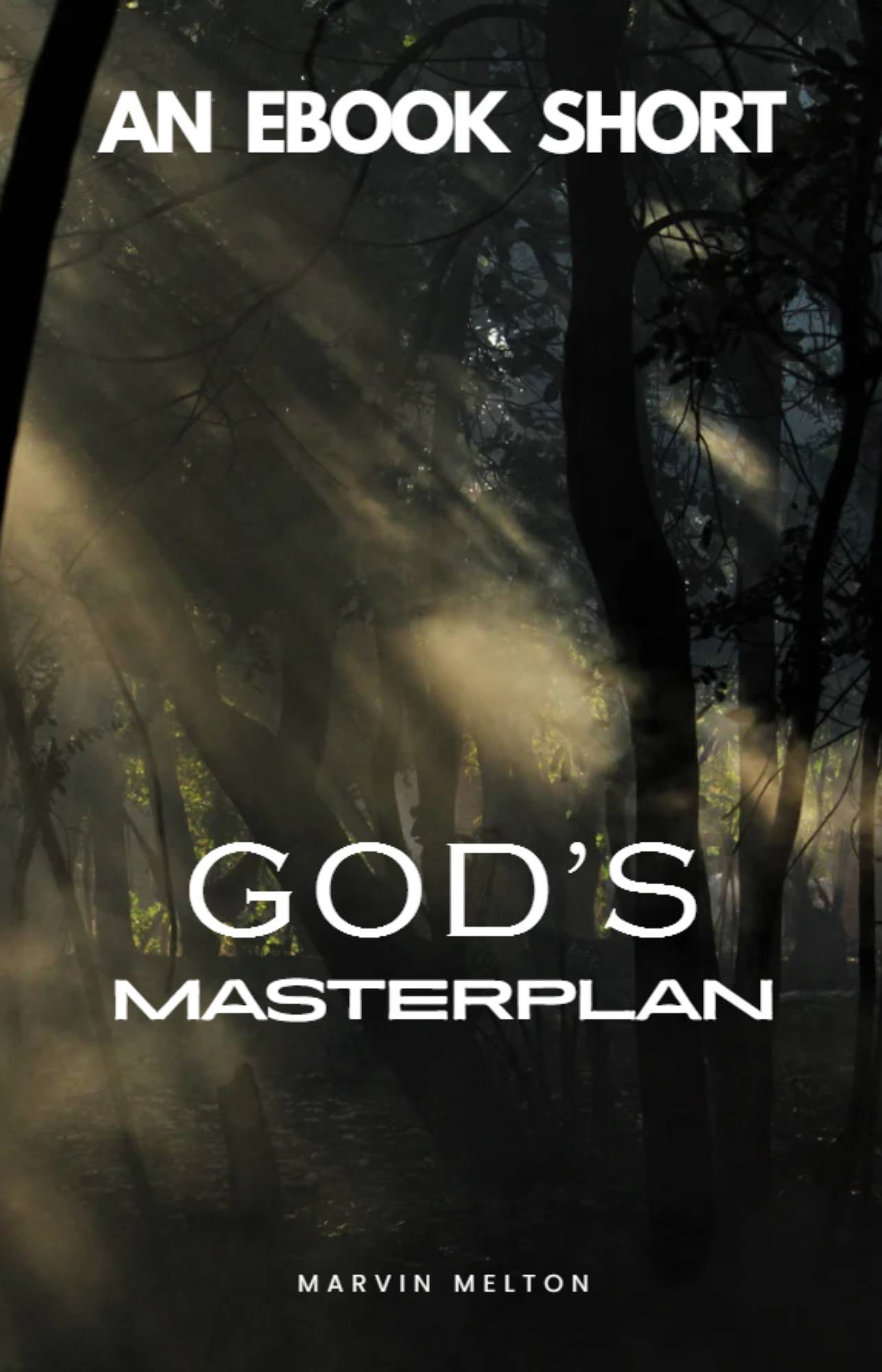 God's Masterplan Ebook