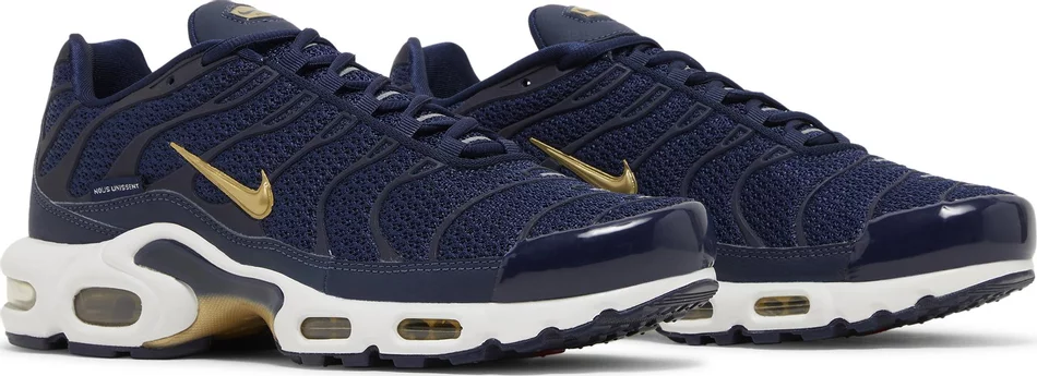 Air Max Plus ‘French Football Federation’