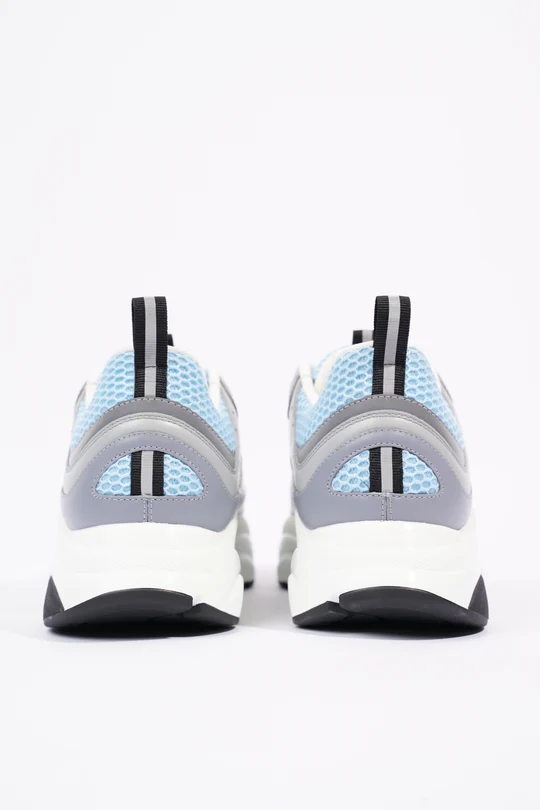 Dior B22 ‘White Blue’