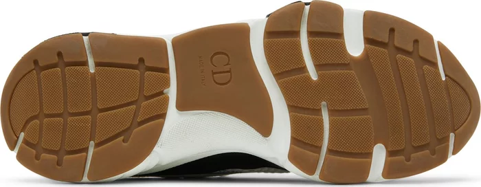 Dior B22 ‘White Black Gum’