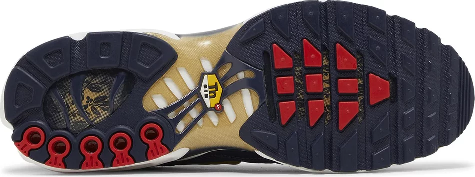 Air Max Plus ‘French Football Federation’