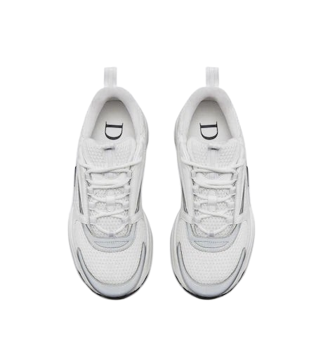 Dior B22 ‘White Grey’