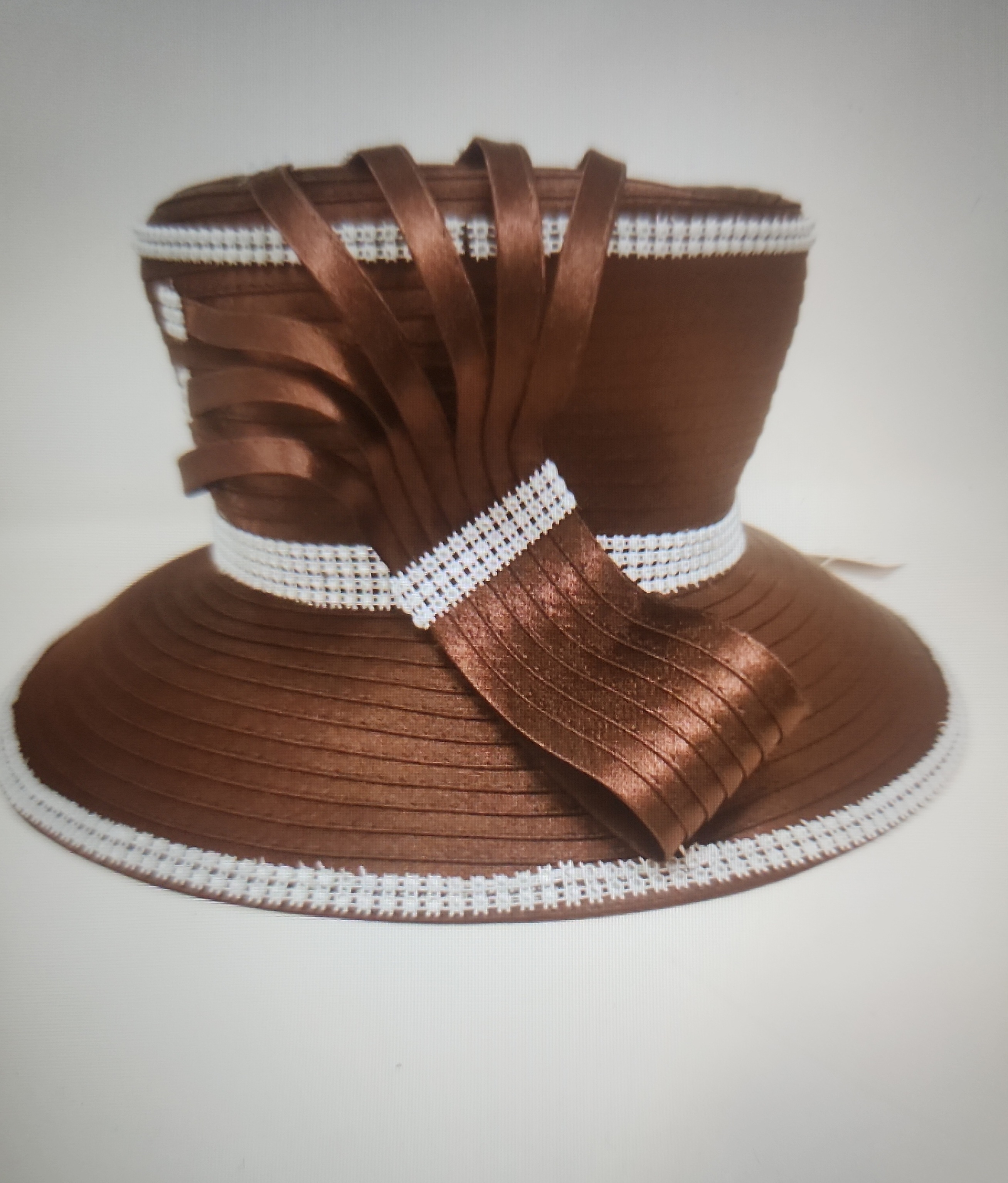 Elegant Brown Ribbon Hat