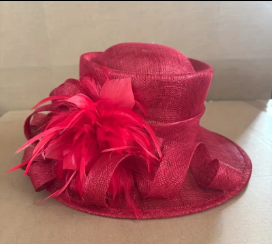 Elegant Red Hat With Feather 