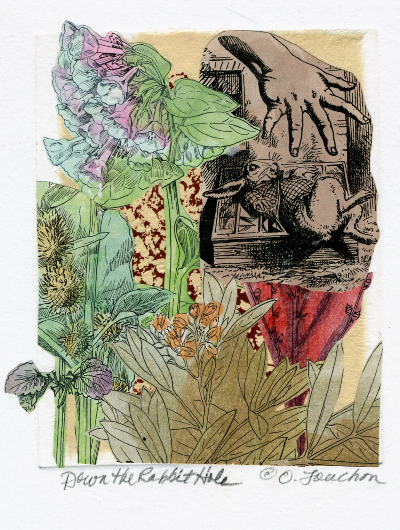 Dreaming of Alice #3