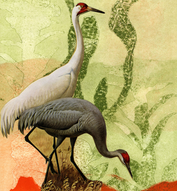 Ukrainian Monoprints-Bilohorivka