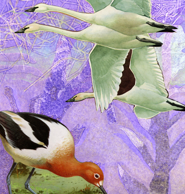 Ukrainian Monoprints-Krasnyi Lyman