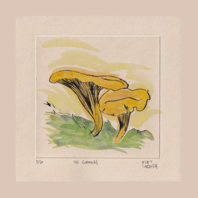 Les girolles - gravure à la pointe sèche et aquarelle