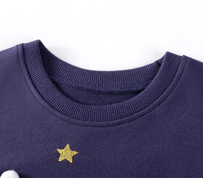 HILEELANG Toddler Girl Fall Outfits Clothing Sets Cotton Sweatshirts Leggings Pnats Clothing Playwear Sets 2pc