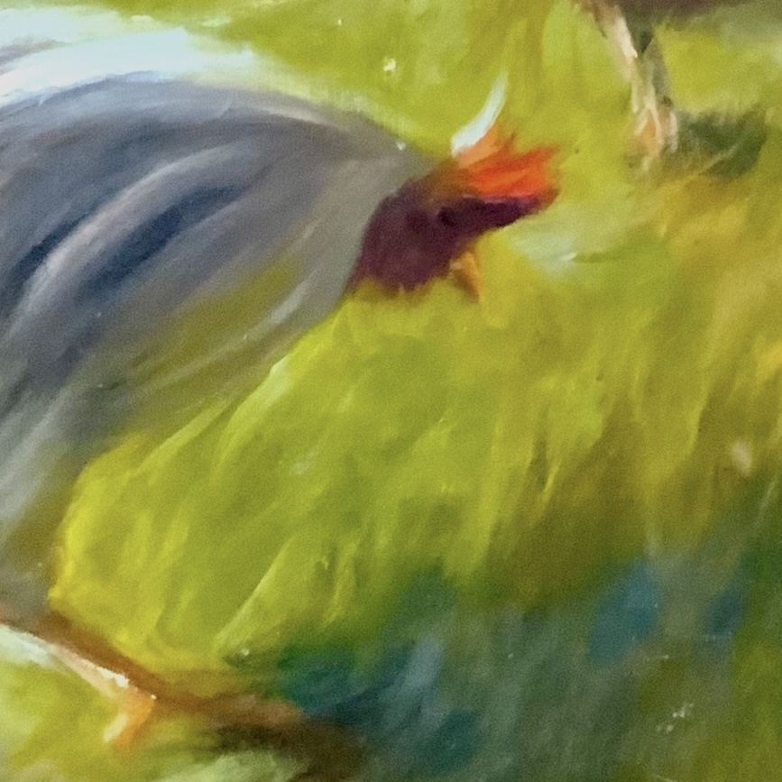 Morning in the Grass